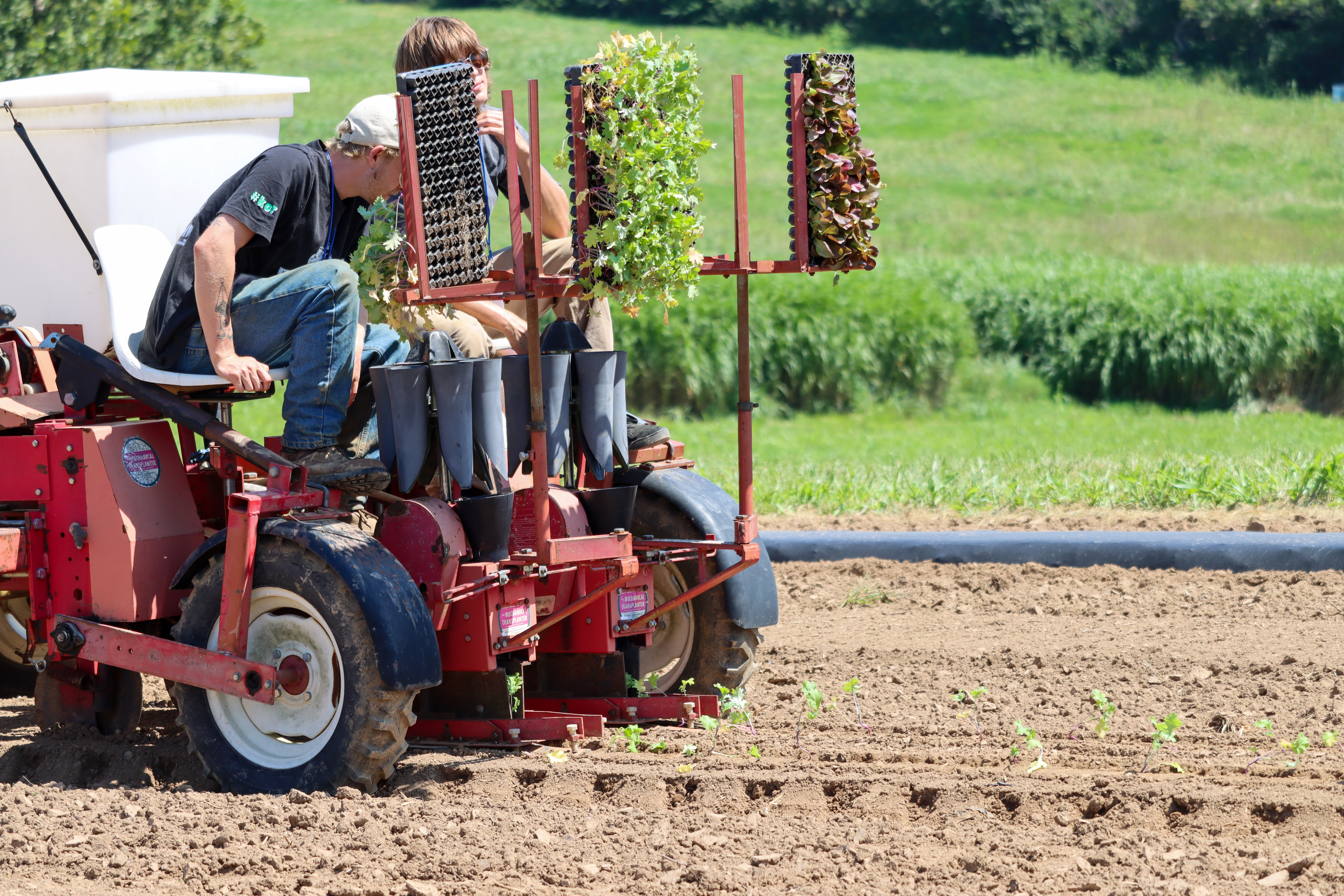 2 people on a transplanter in a field 