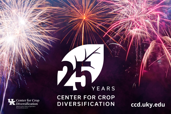 fireworks behind ccd logo, 25th anniversary logo, and website address