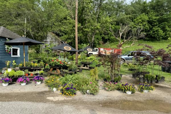 roadside stand with plants for sale and picnic tables