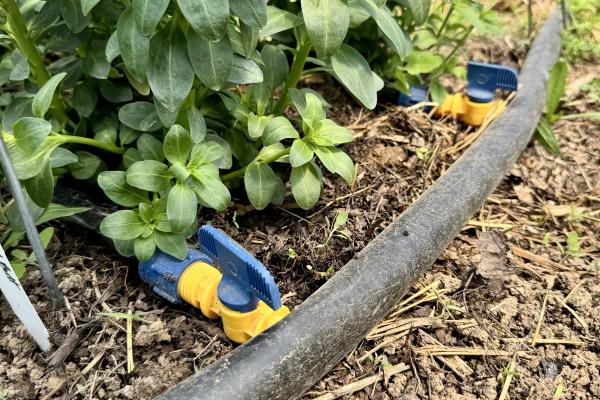  Irrigation lines