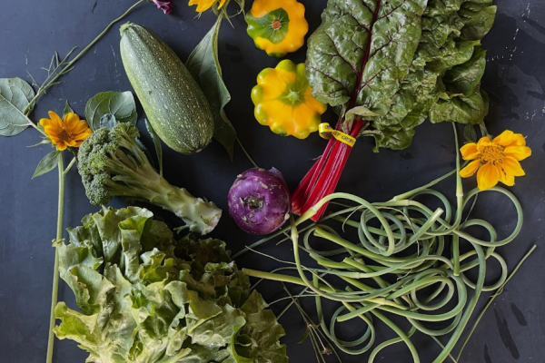 Photo of CSA share on black table top