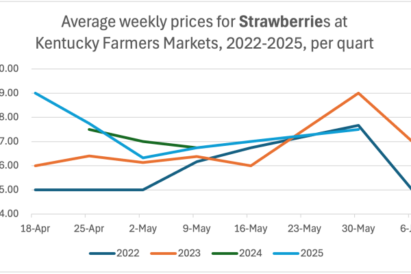 a graph of strawberry prices showing that 2025 prices were similar to previous years