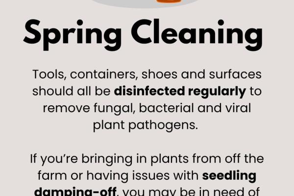 text about cleaning for fans with graphic of a plant, bag of seeds and orange watering can