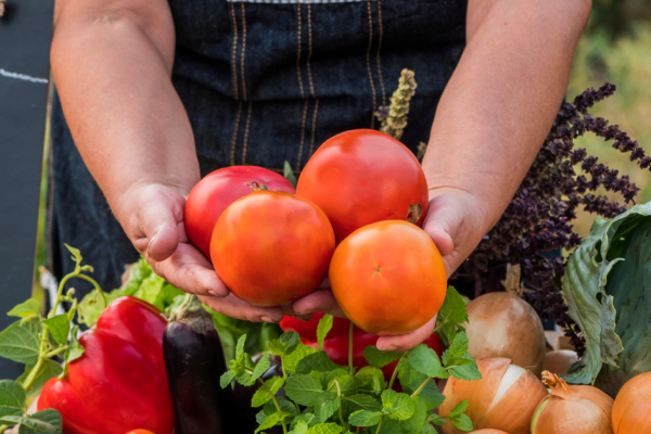 Hands holding out farm stand vegetables
