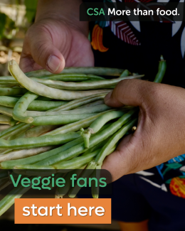 hands holding beans with caption Veggie Fans Start Here