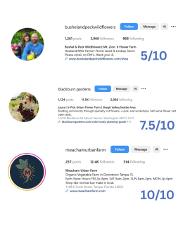 ranked examples of instagram bios of small businesses
