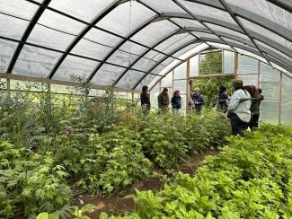 several different crops growing in a high tunnel