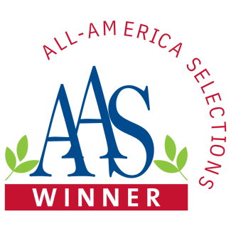 RBG All American Selection Winner