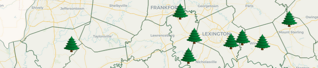 Christmas Tree Farm Directory