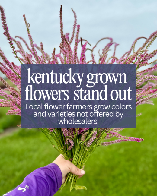 text overlaying a unique bouquet