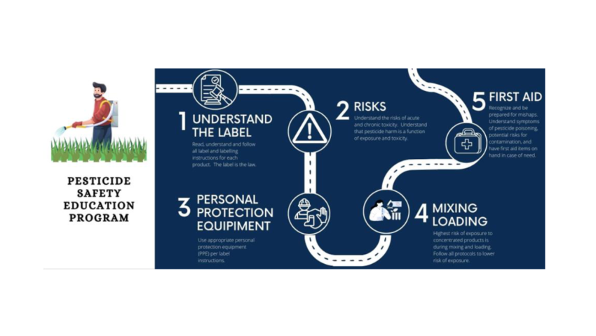 graphic showing the 5 steps of pesticide safety application