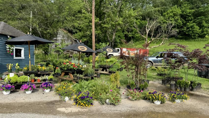 roadside stand with plants for sale and picnic tables