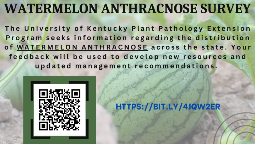 graphic with a qr code for the watermelon survey