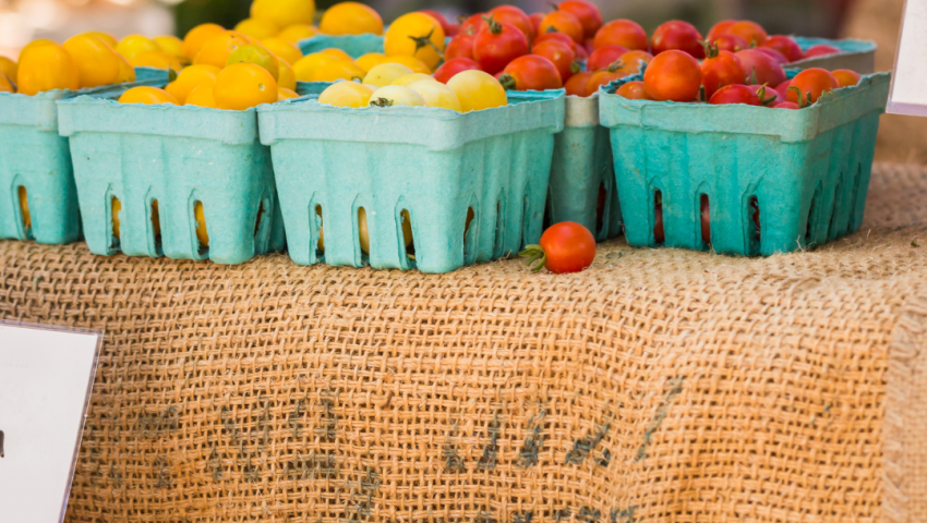 cherry tomatoes on display at farmers market