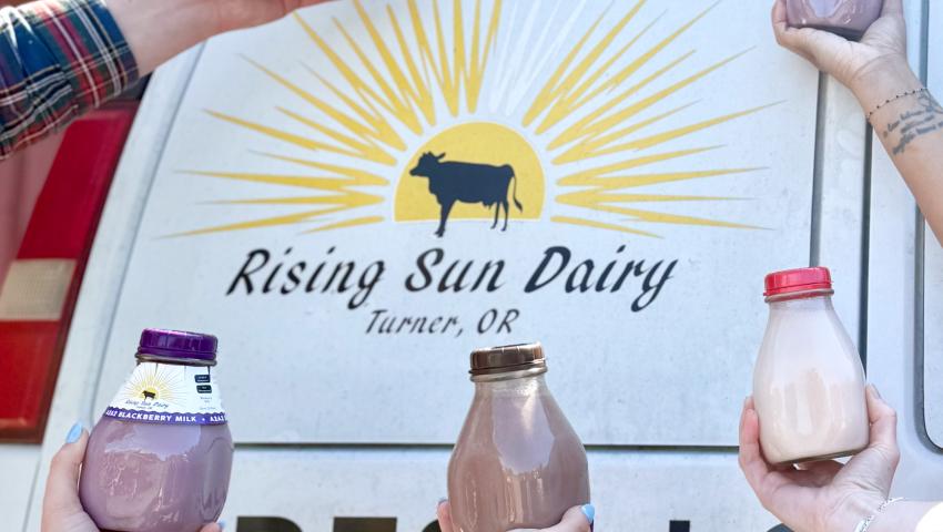 Different flavors of milk in front of logo