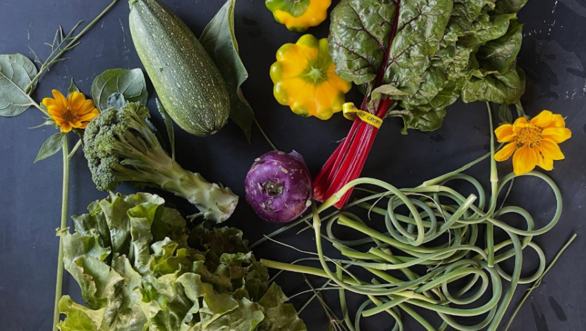 Photo of CSA share on black table top