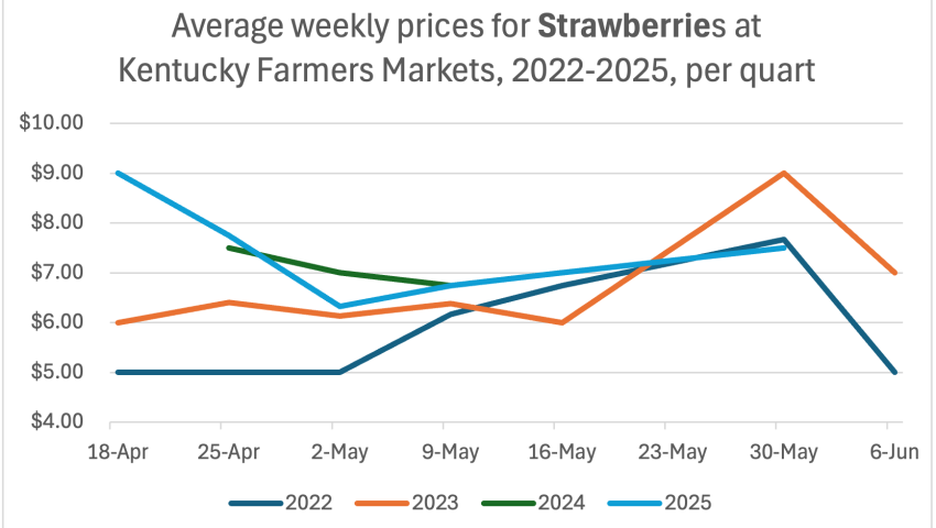 a graph of strawberry prices showing that 2025 prices were similar to previous years