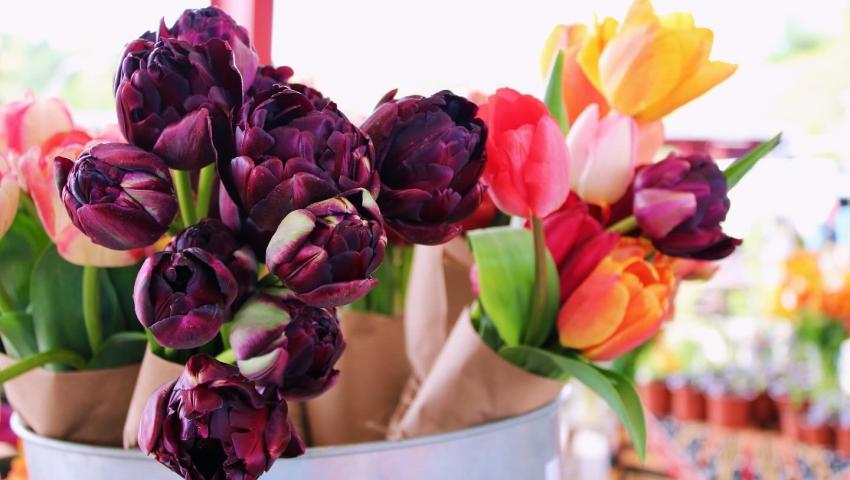 several cut flowers in a bucket