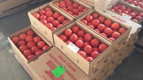 tomatoes in boxes for sale at produce auction