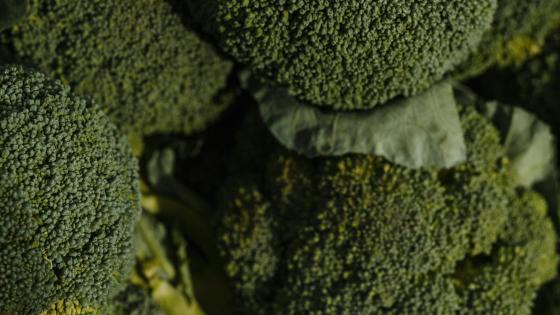 close up of heads of broccoli