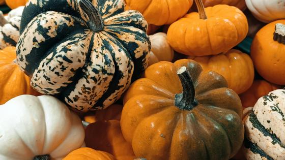 pile of gourds, close-up