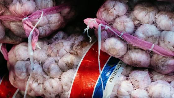 bags of garlic for sale in wholesale quantities