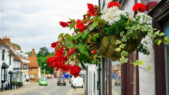 hanging baskets in front of building on street