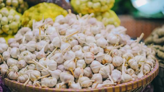 bowl of garlic bulbs