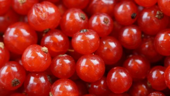 closeup of currants