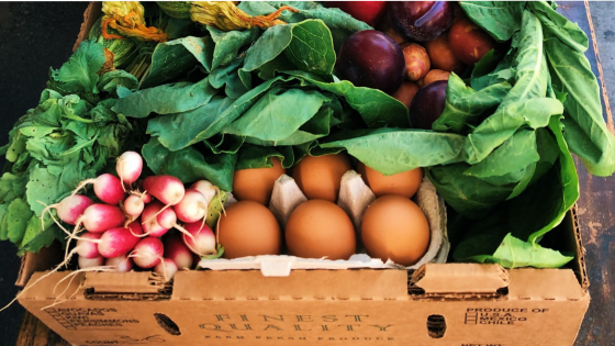 cardboard box with radishes, greens, eggs, and other produce