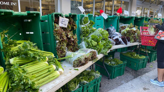 display of various types of lettuce at a farmers market
