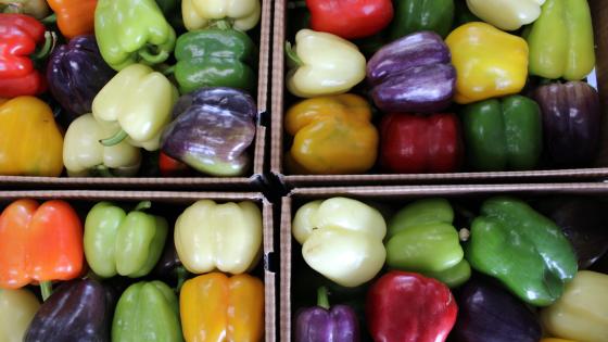 Tri-colored bell peppers inside four wax cardboard boxes