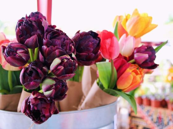 cut flower bouquet